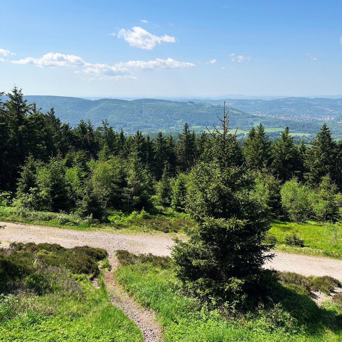 KI im Thüringer Wald – Führungskräfte-Workshop 2026